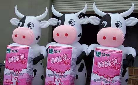 龙子湖牛奶厂广告气模